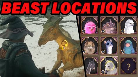 hogwarts legacy lebenstrank|All Beast Locations 